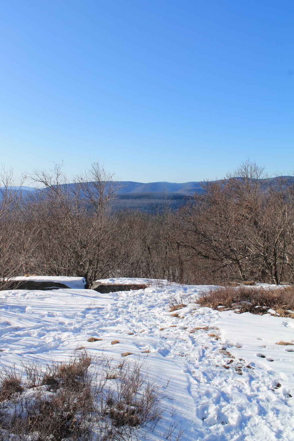 Photo: View Off Open Area Photo: View Off Open Area
