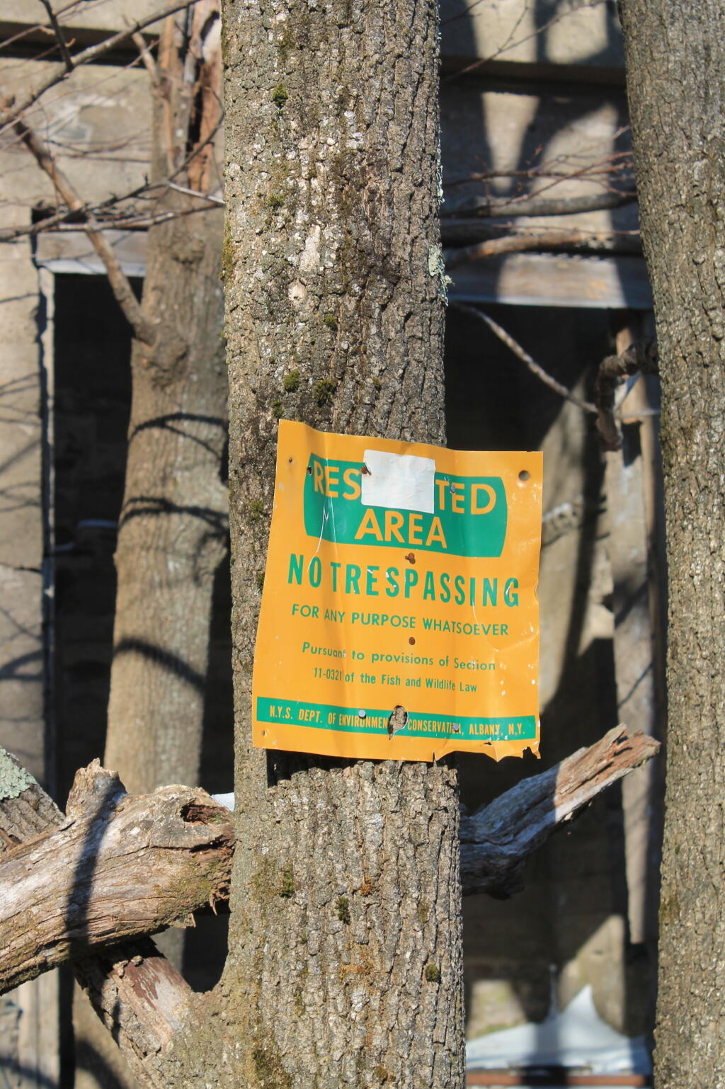 Photo: Restricted Area Photo: Restricted Area