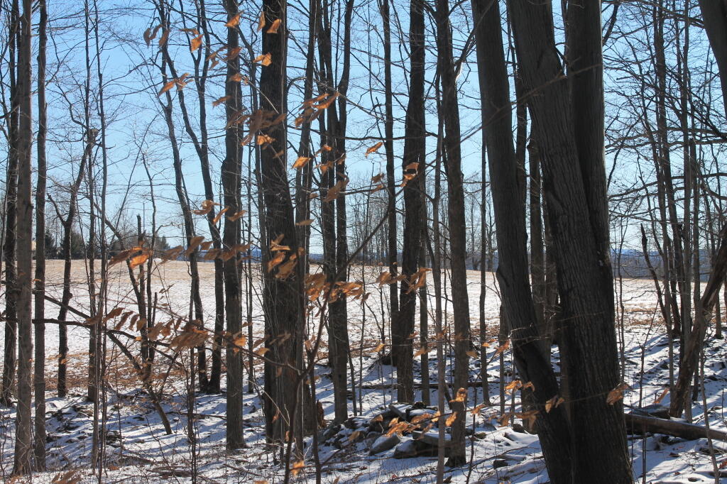 Photo: View from New Cole Hill Trail Photo: View from New Cole Hill Trail