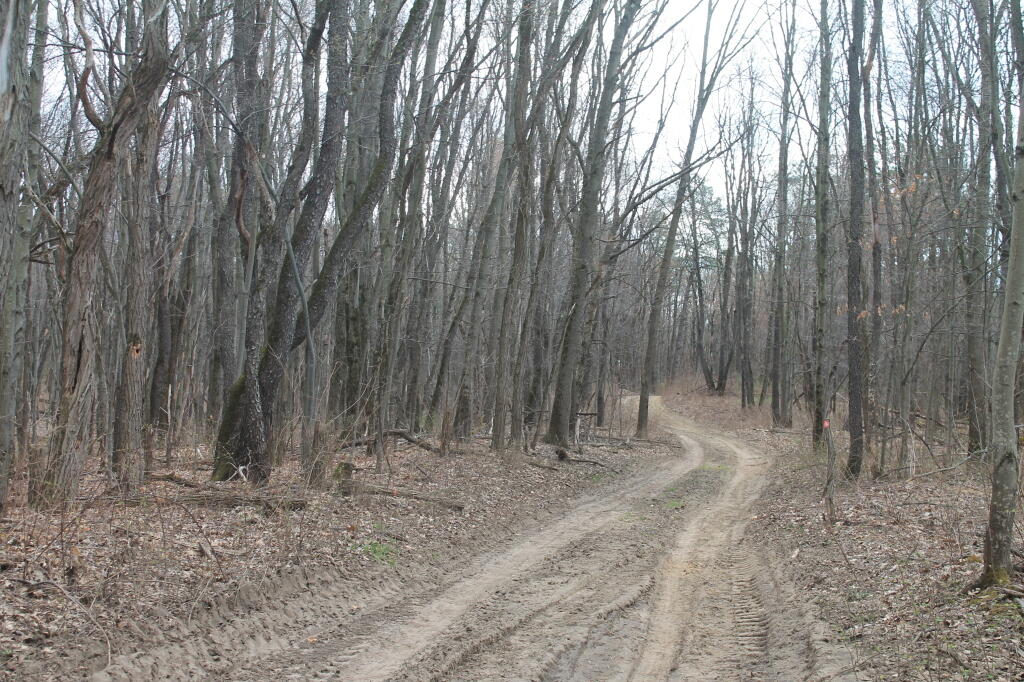 Photo: Red Trail Photo: Red Trail