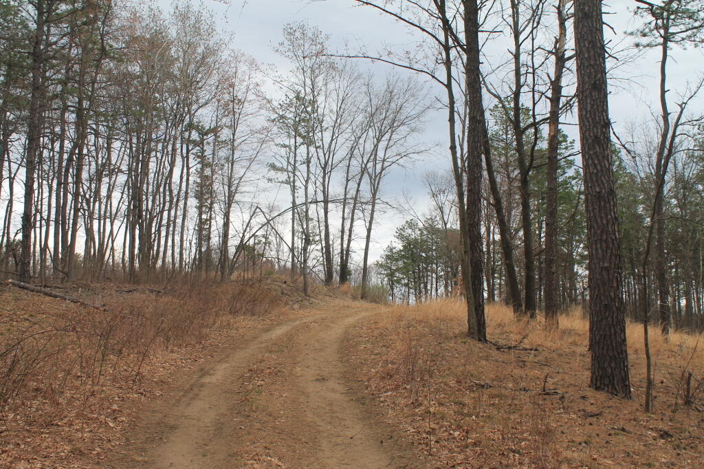 Photo: Recently Restored Area Photo: Recently Restored Area
