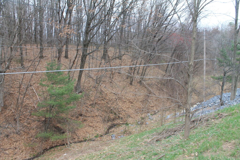 Photo: Rip Rap and Ditching Along New Karner Road Photo: Rip Rap and Ditching Along New Karner Road