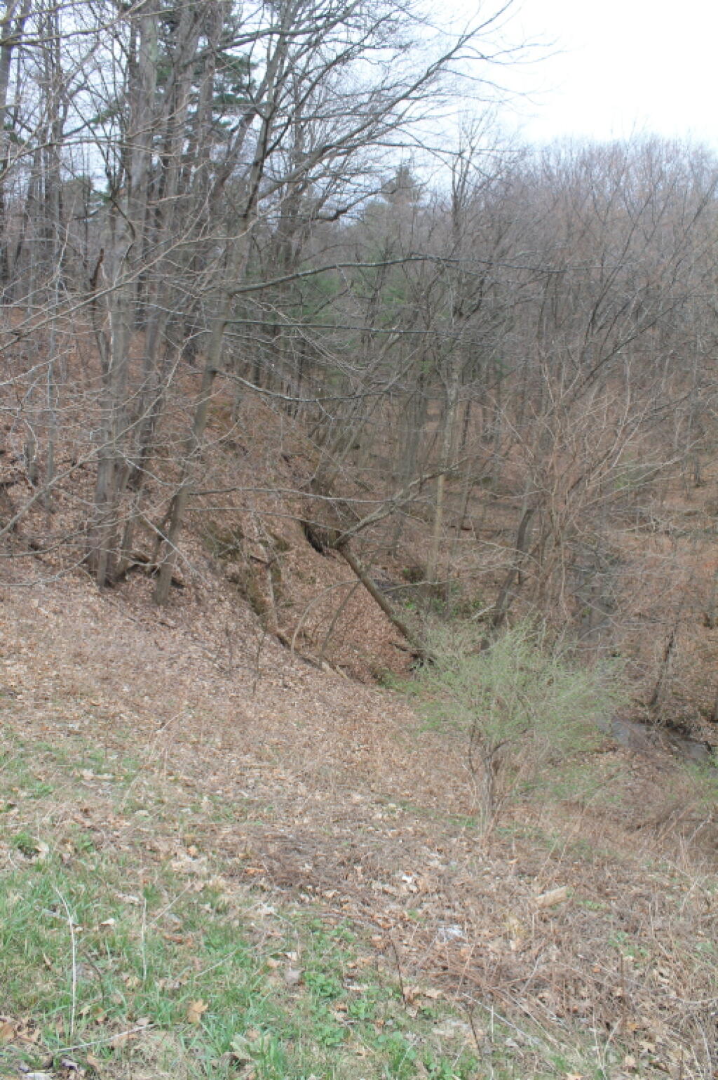 Photo: The Cliff or Dune Photo: The Cliff or Dune