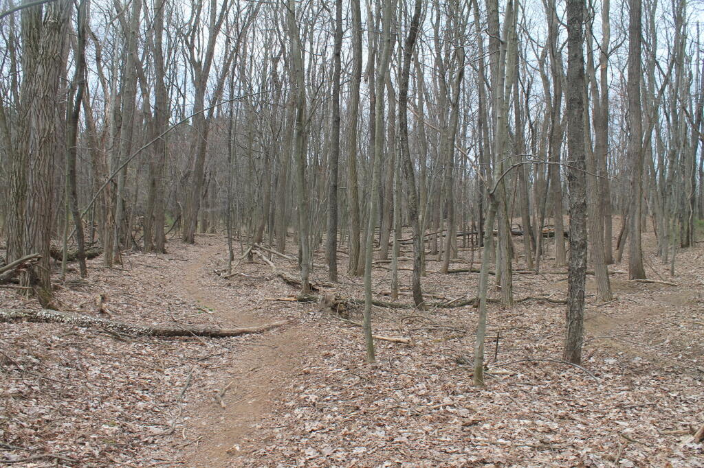 Photo: Along the Old Road Photo: Along the Old Road