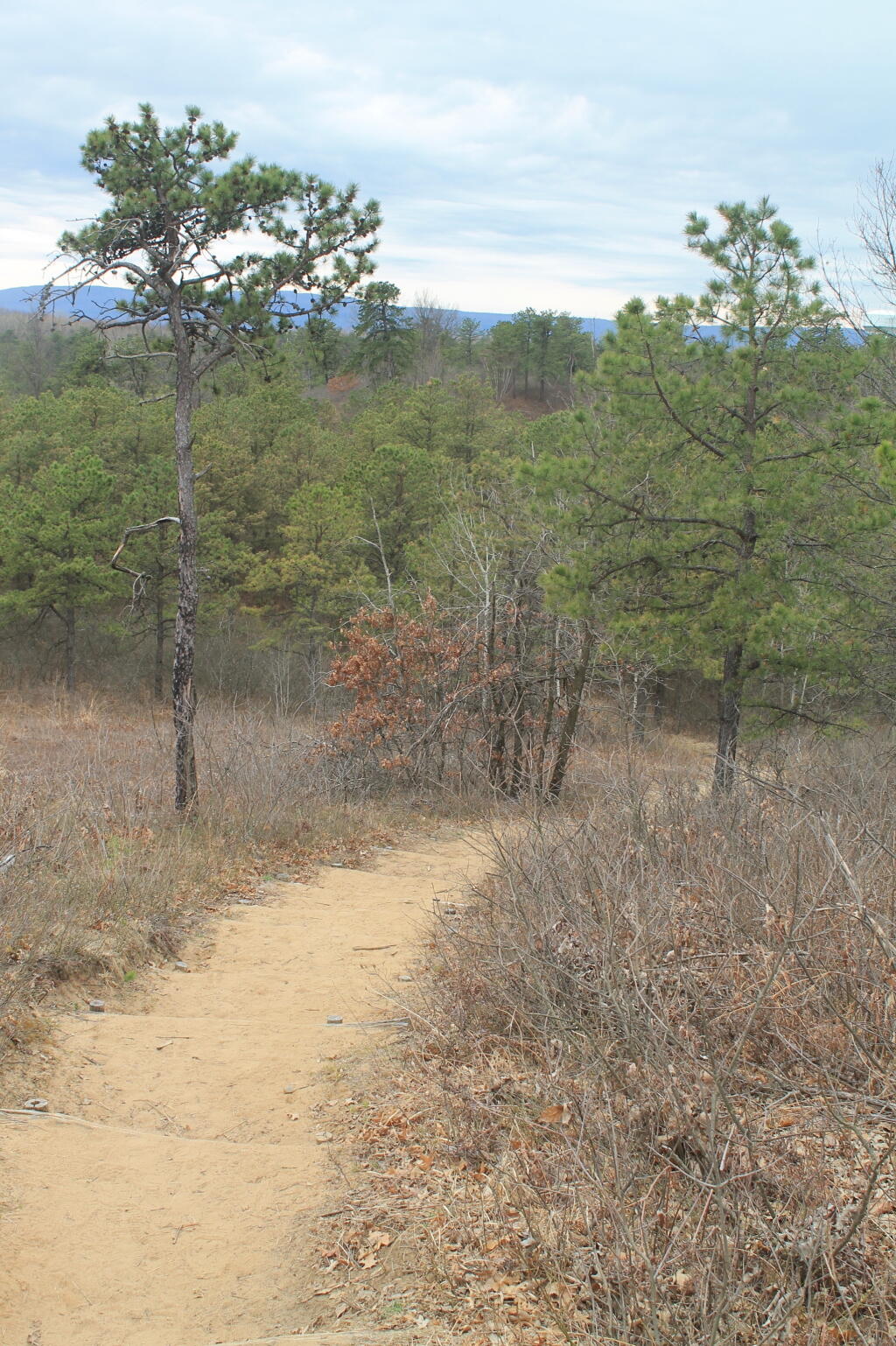 Photo: Descending Overlook Dune Photo: Descending Overlook Dune