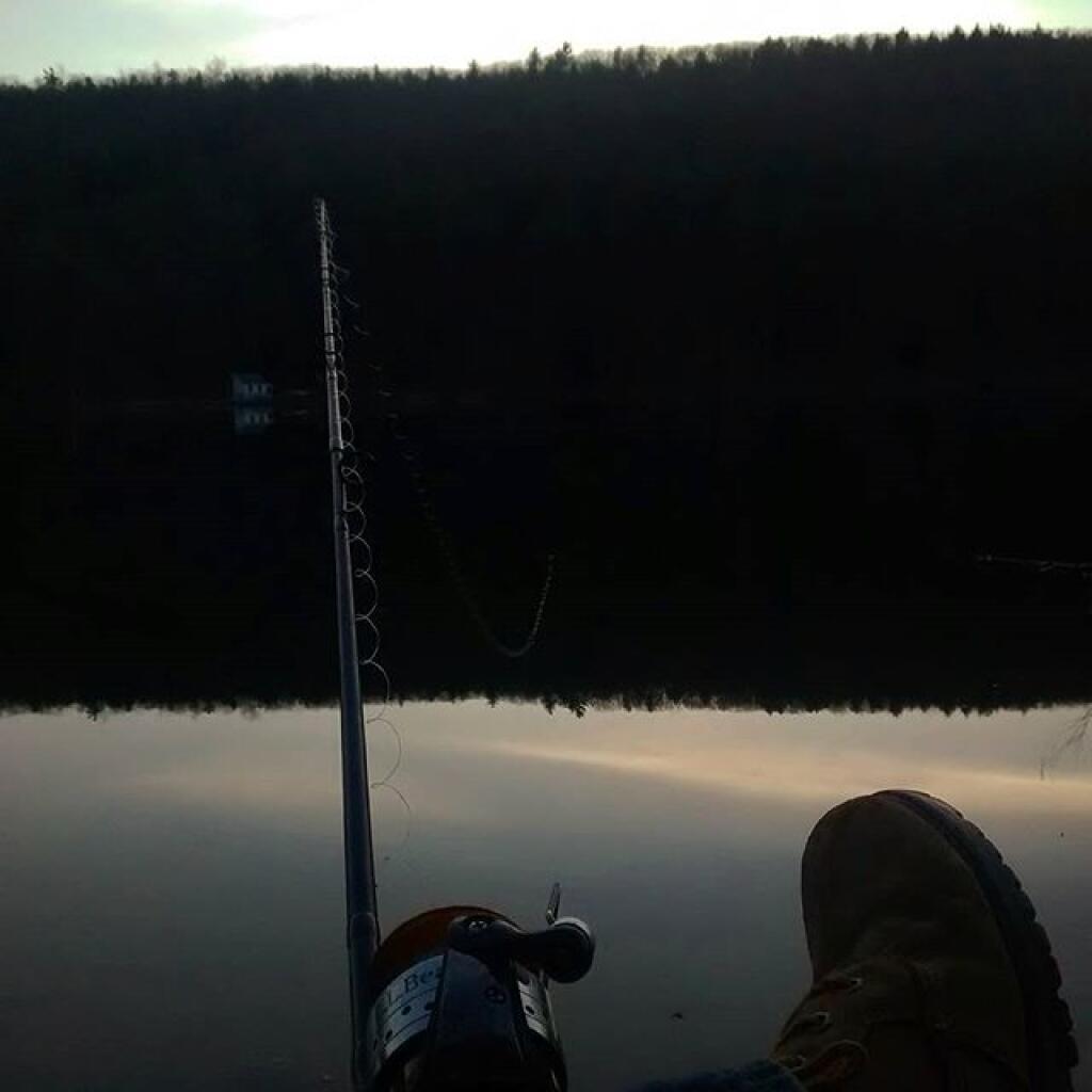 Photo: Dusk Photo: Dusk