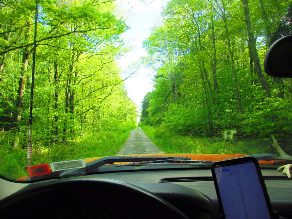Photo: Bumping Along Burnt Hill Road Photo: Bumping Along Burnt Hill Road