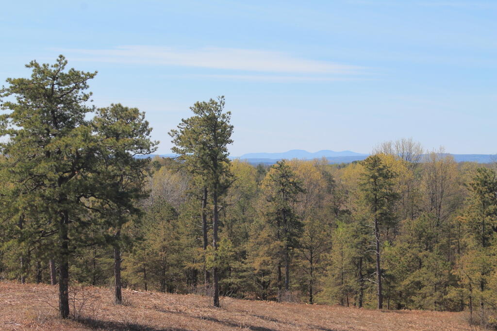 Photo: Catskills from Overlook Dune Photo: Catskills from Overlook Dune