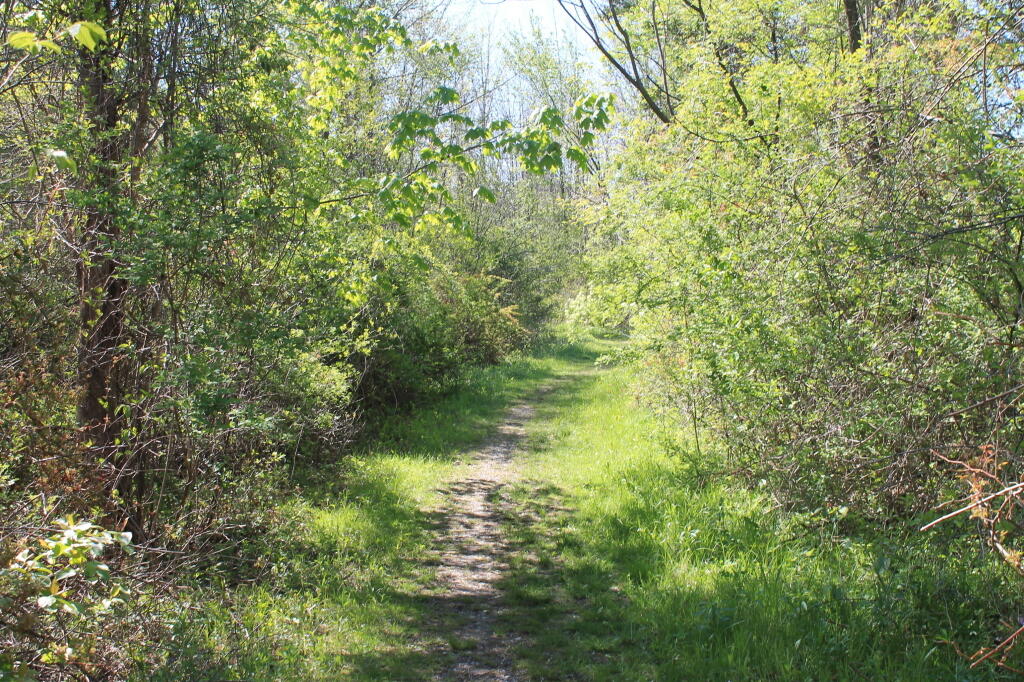 Photo: Bright Green Photo: Bright Green