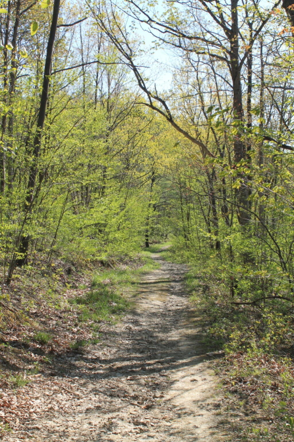 Photo: Along the Ravine Photo: Along the Ravine