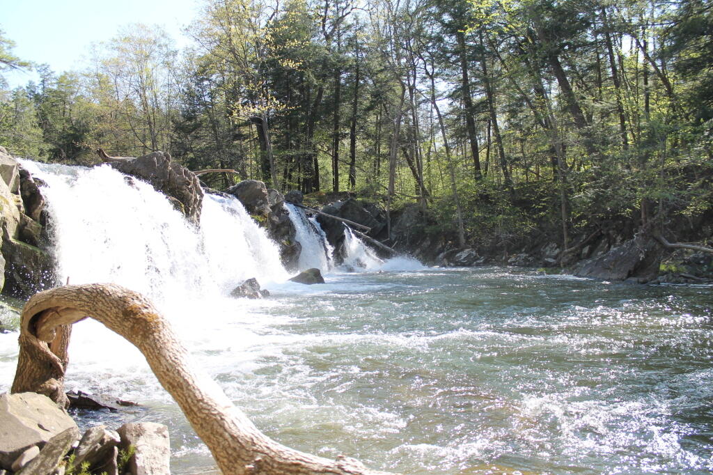 Photo: The Waterfalls Photo: The Waterfalls