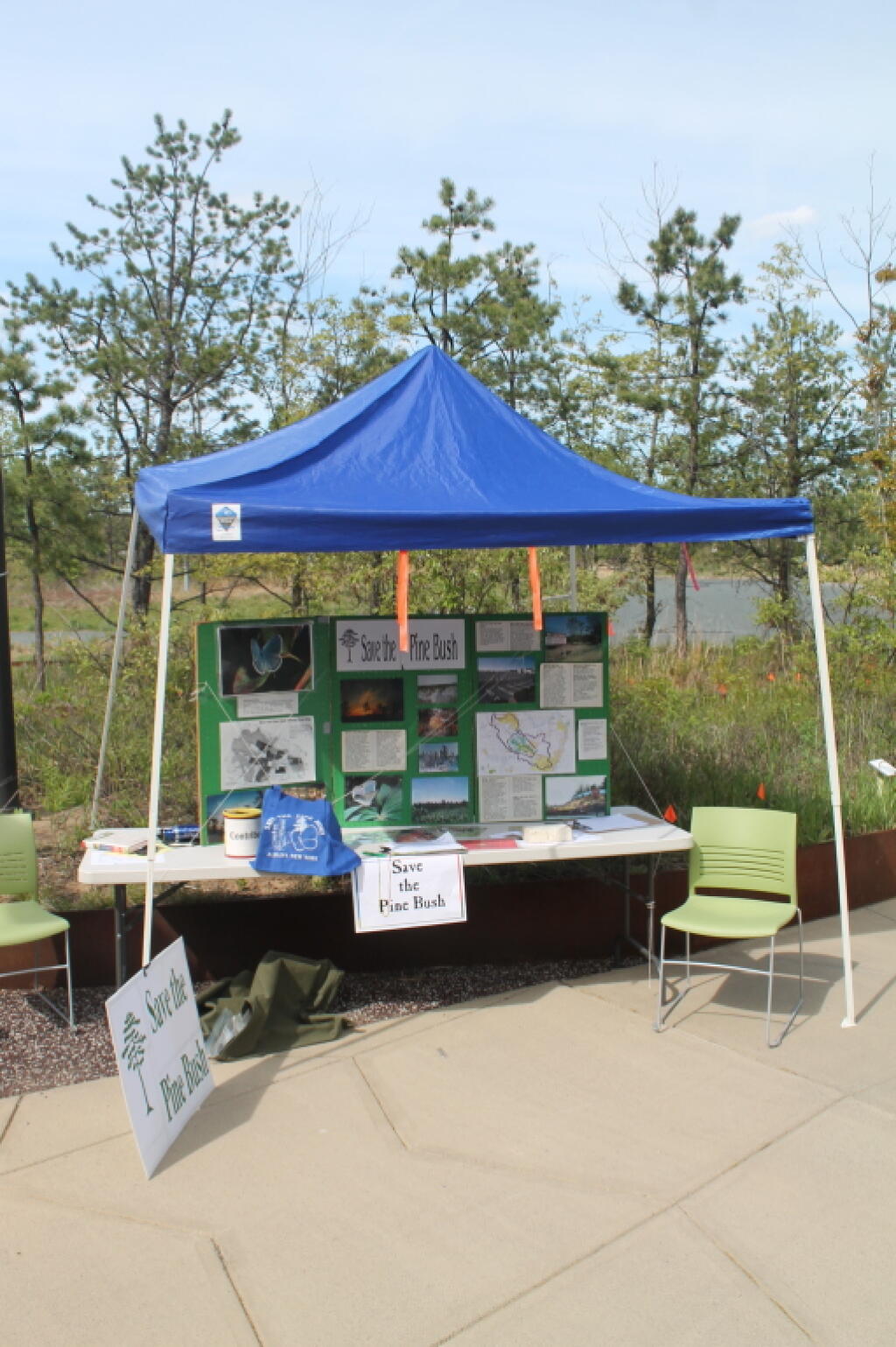 Photo: Save the Pine Bush at Lupinefest Photo: Save the Pine Bush at Lupinefest