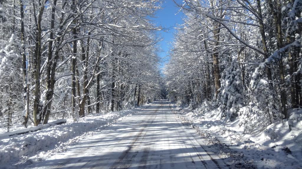 Photo: Snowy CCC Road Photo: Snowy CCC Road