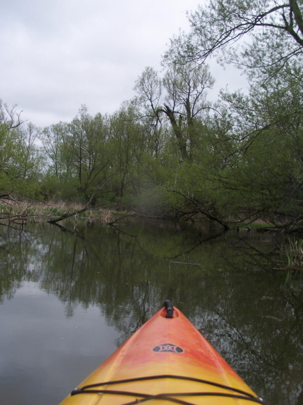 Photo: Heading Up the River Photo: Heading Up the River