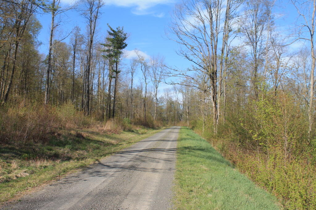 Photo: Truck Trail 7