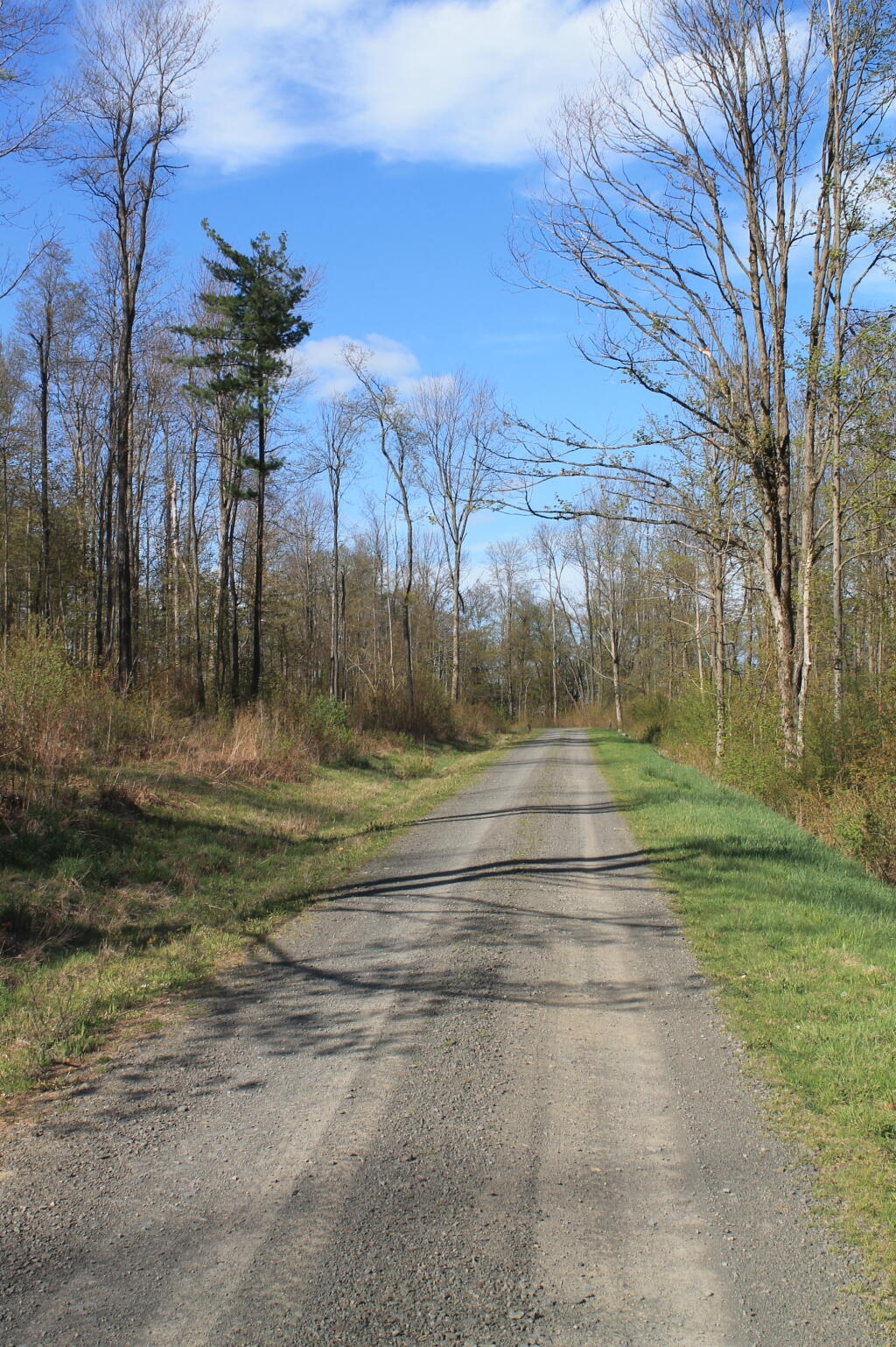 Photo: Open Road Photo: Open Road