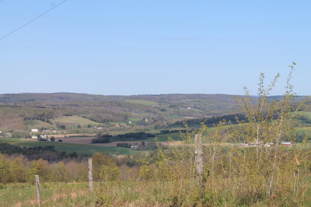 Photo: Sangerfield Valley Where Nine Mile Swamp Runs