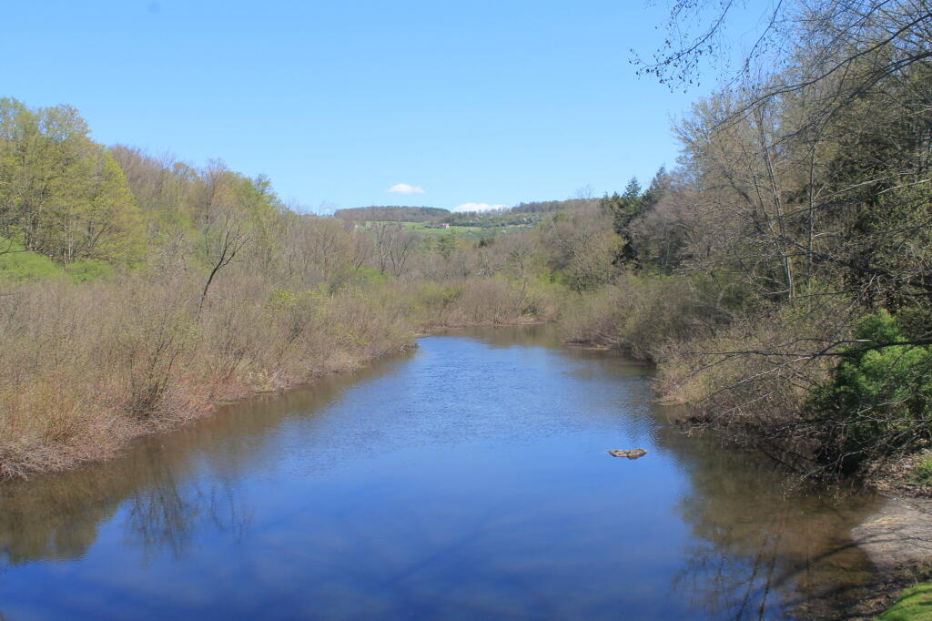Photo: From the Wickham Road Put In Photo: From the Wickham Road Put In