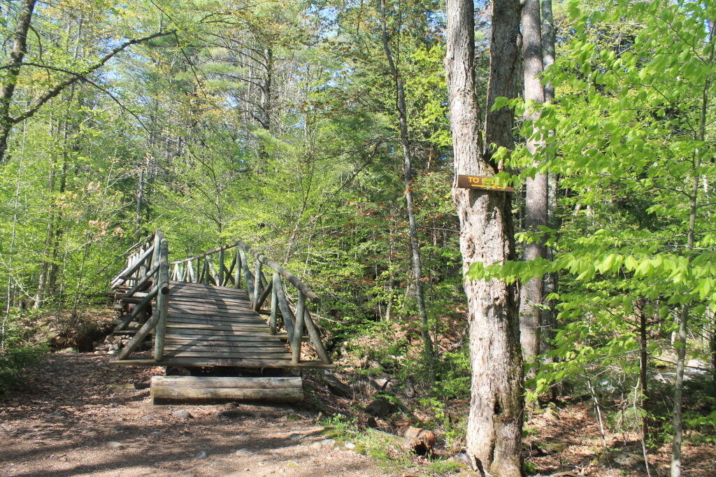 Photo: Bridge Across Tenant Creek Photo: Bridge Across Tenant Creek