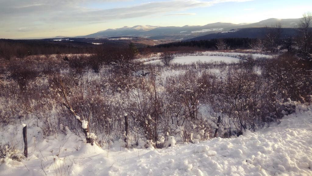 Photo: OSI Pond Photo: OSI Pond
