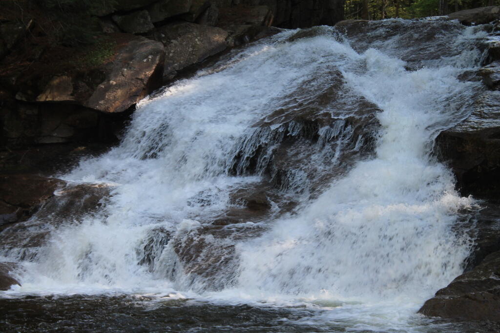 Photo: Splash Photo: Splash