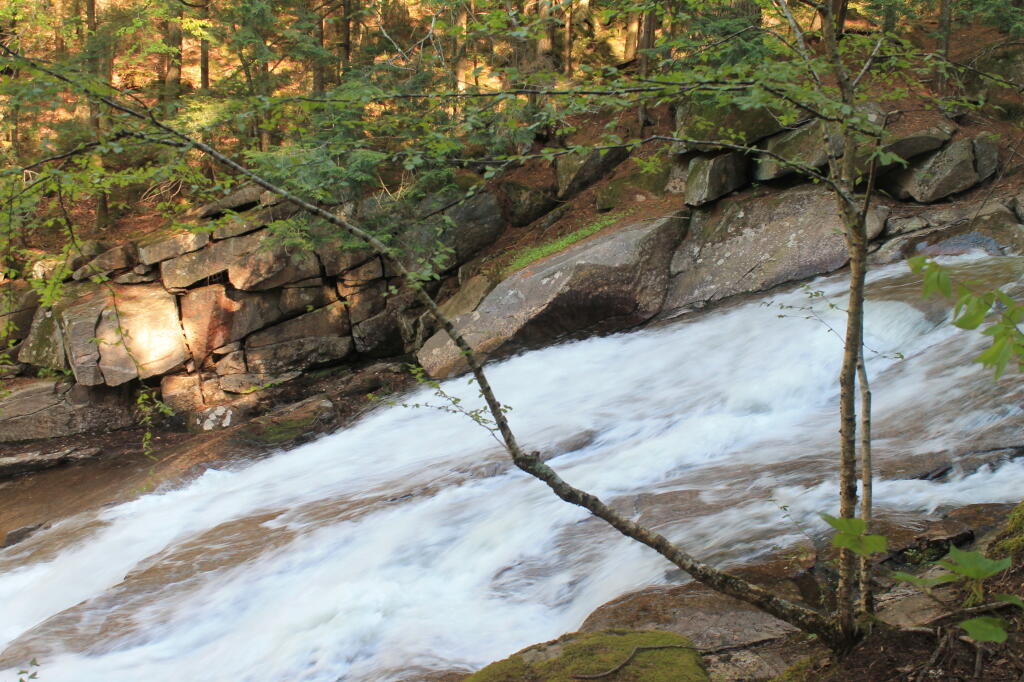 Photo: Whitewater Photo: Whitewater