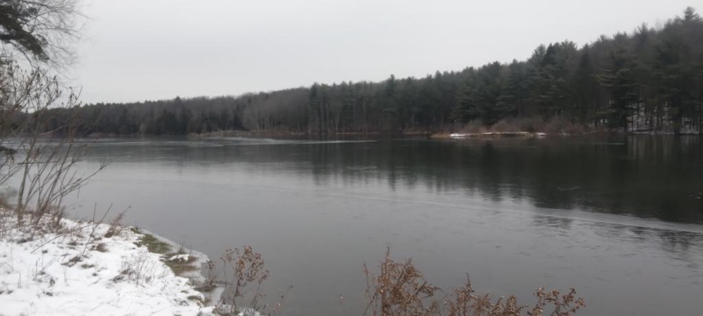 Photo: Cool gray day Photo: Cool gray day