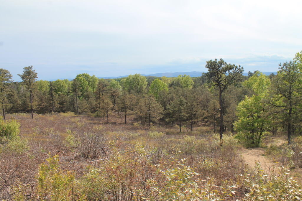 Photo: Off Overlook Dune Photo: Off Overlook Dune