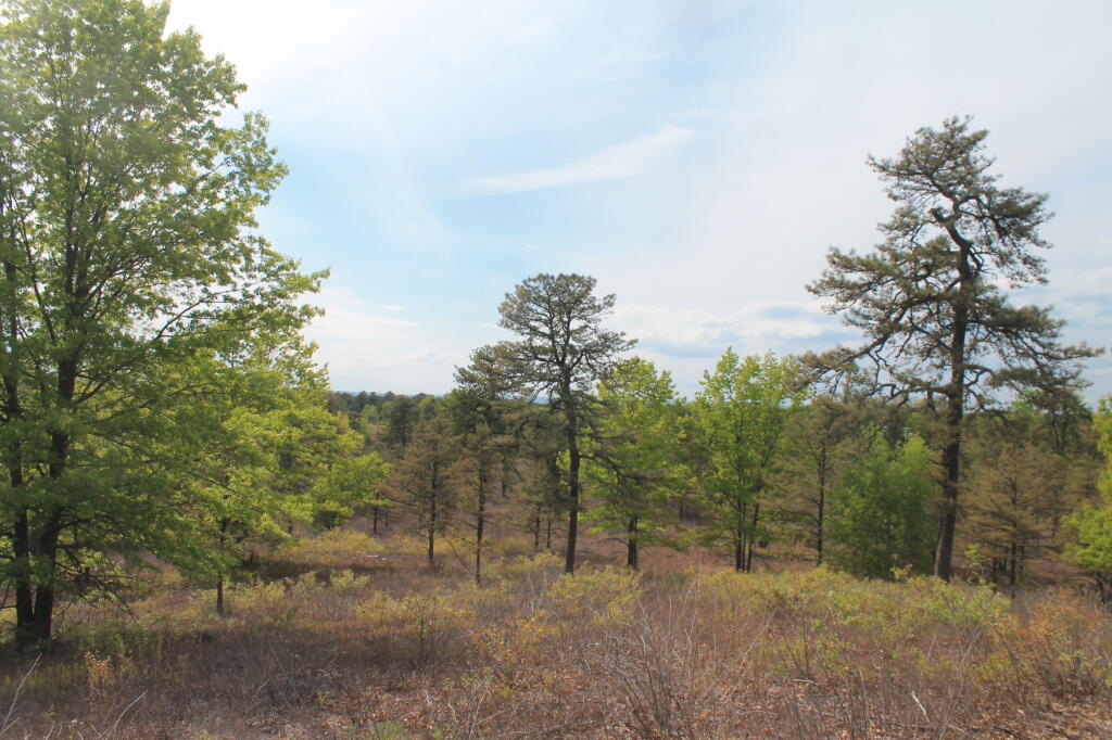 Photo: North-West from Overlook Dune Photo: North-West from Overlook Dune
