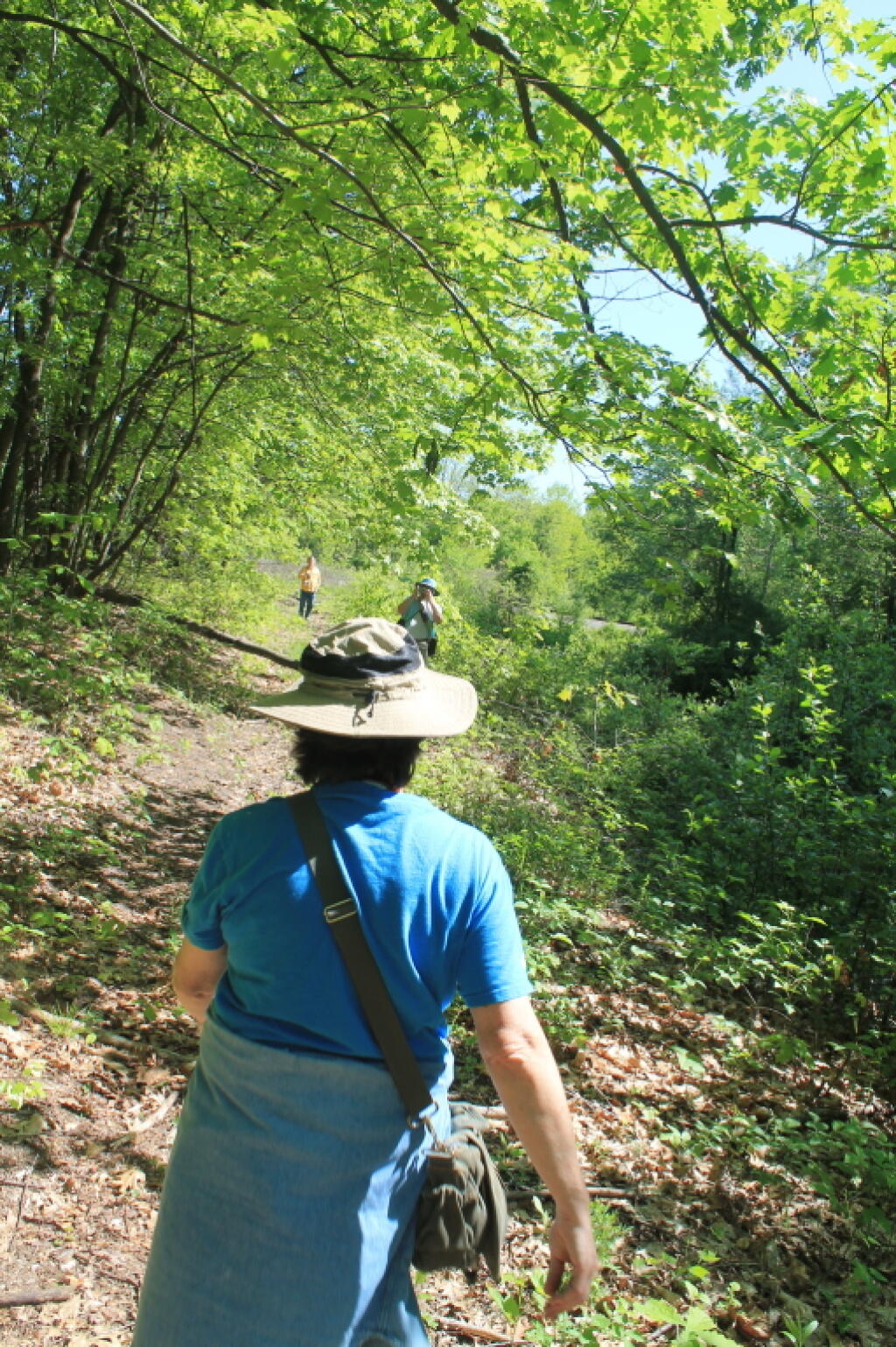 Photo: Hiking Into Woodlawn Preserve Photo: Hiking Into Woodlawn Preserve