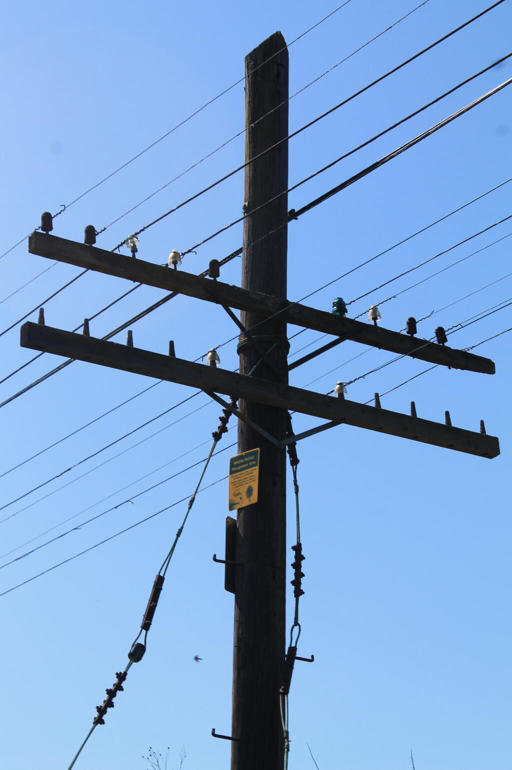 Photo: Old Telephone Lines Photo: Old Telephone Lines