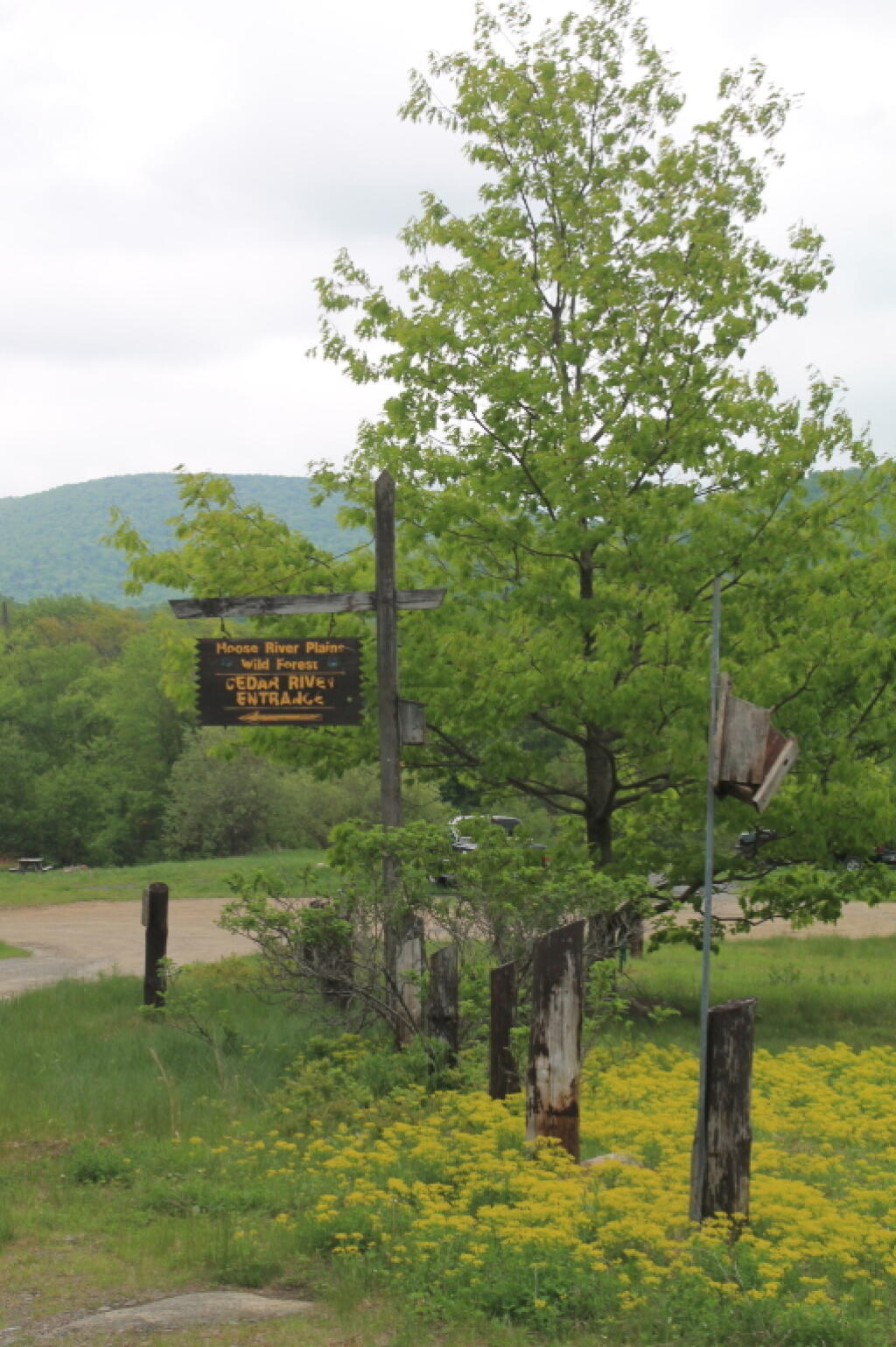 Photo: Cedar River Entrance Sign Photo: Cedar River Entrance Sign