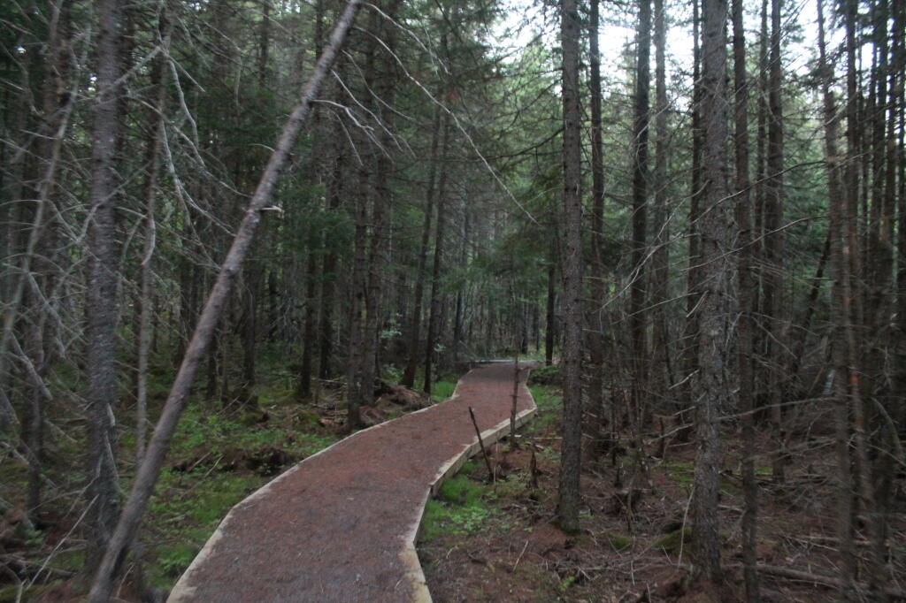 Photo: Helldiver Trail Photo: Helldiver Trail