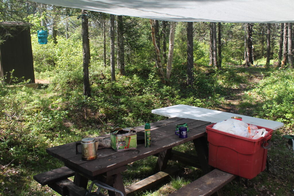 Photo: Picnic Table Photo: Picnic Table