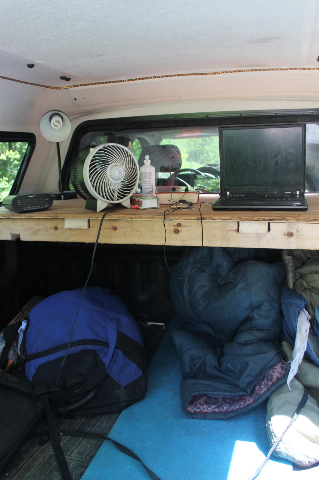 Photo: Hiding Out from Blackflies Photo: Hiding Out from Blackflies