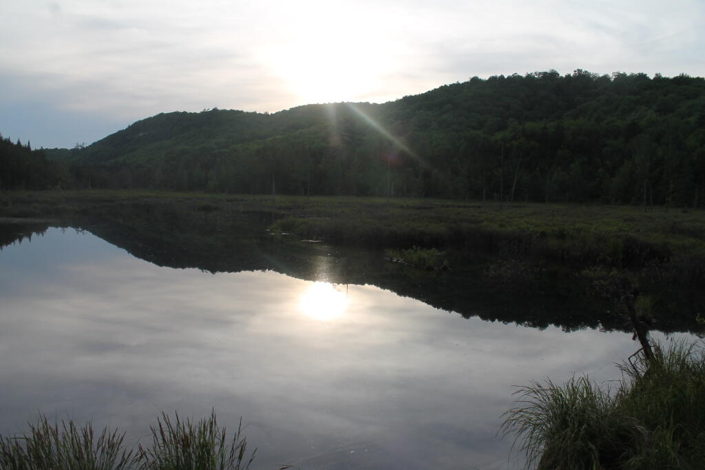 Photo: Sunset at Swamp Along Silver Run Photo: Sunset at Swamp Along Silver Run