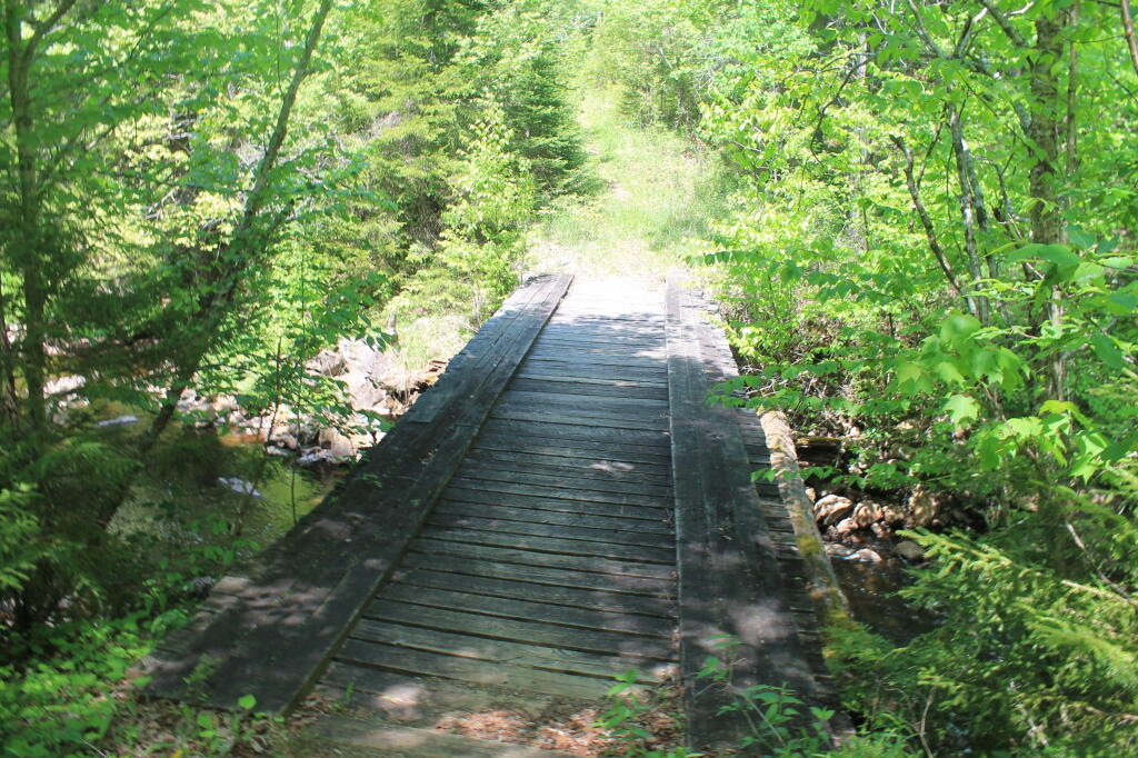 Photo: Old Bridge Across Summer Stream Photo: Old Bridge Across Summer Stream