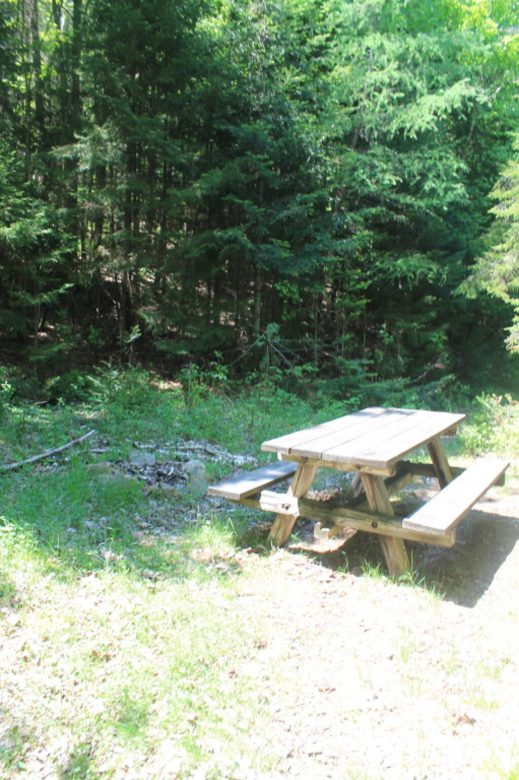 Photo: Pinic Table at Lost Ponds Photo: Pinic Table at Lost Ponds