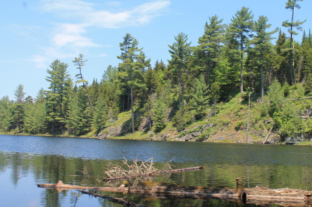 Photo: Lost Ponds Photo: Lost Ponds