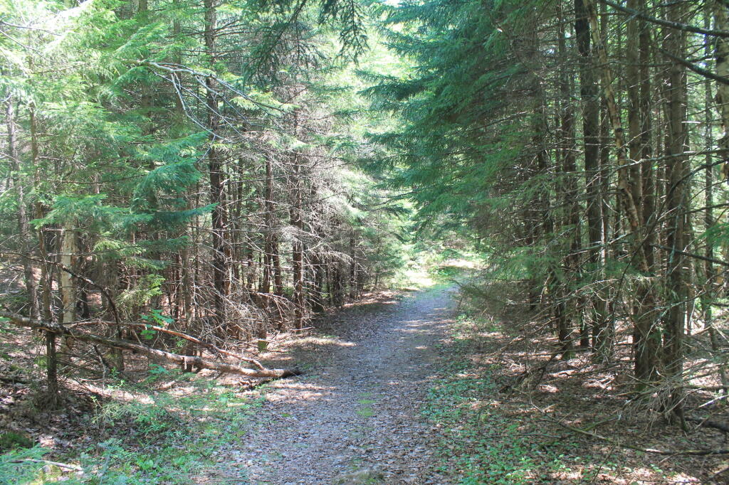 Photo: Former Lost Ponds Road Photo: Former Lost Ponds Road