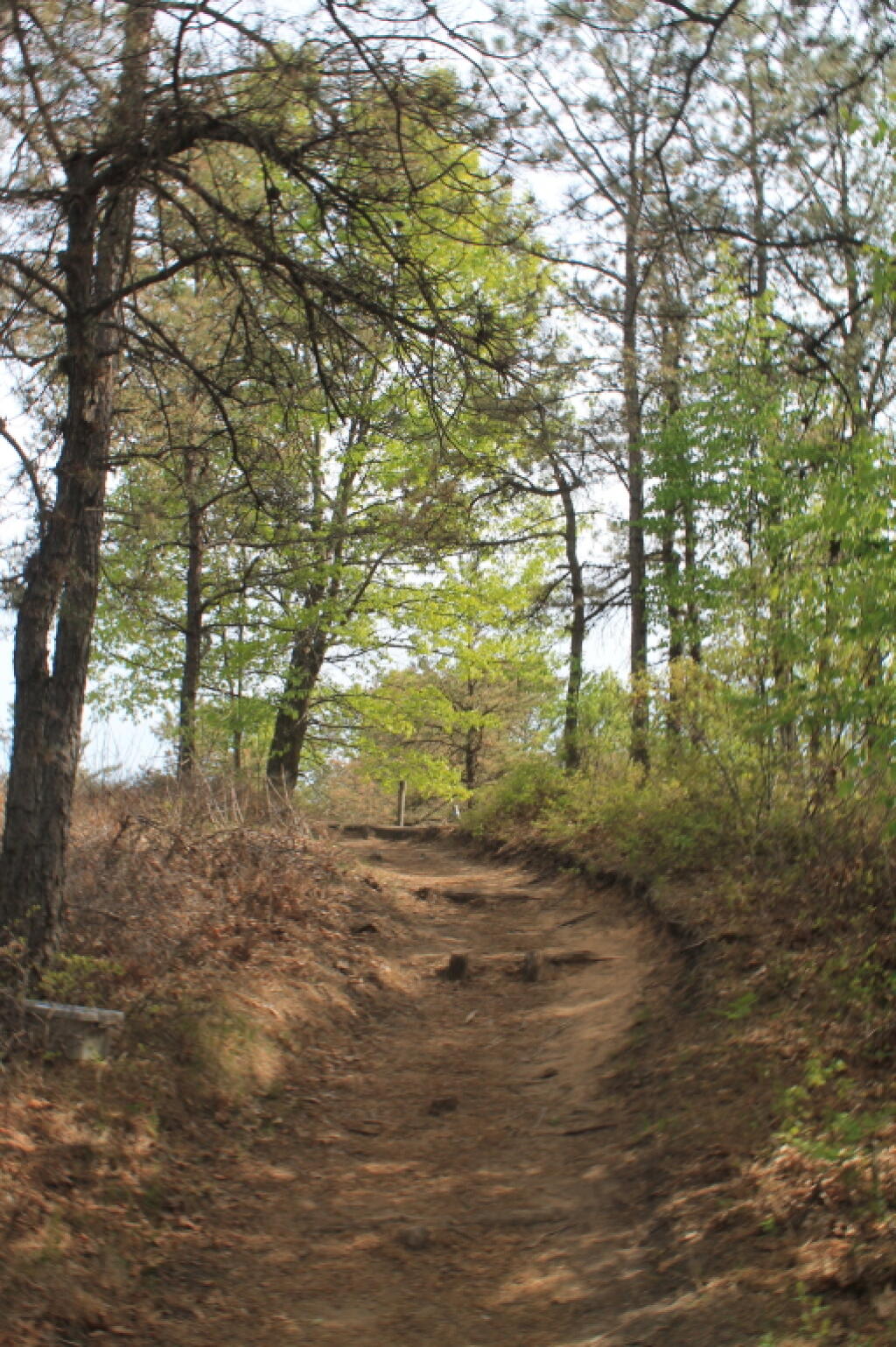 Photo: Blue Trail Photo: Blue Trail