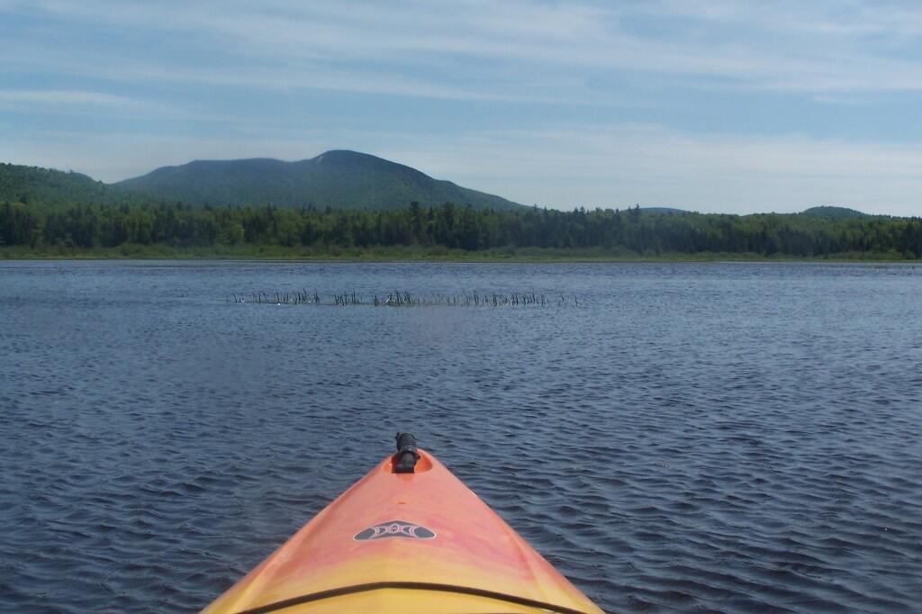 Photo: Marsher Portion of Lake Photo: Marsher Portion of Lake