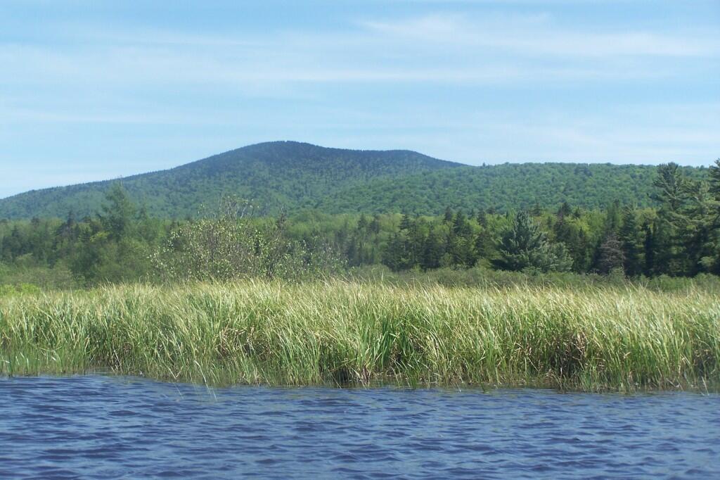 Photo: Along the Channel Photo: Along the Channel