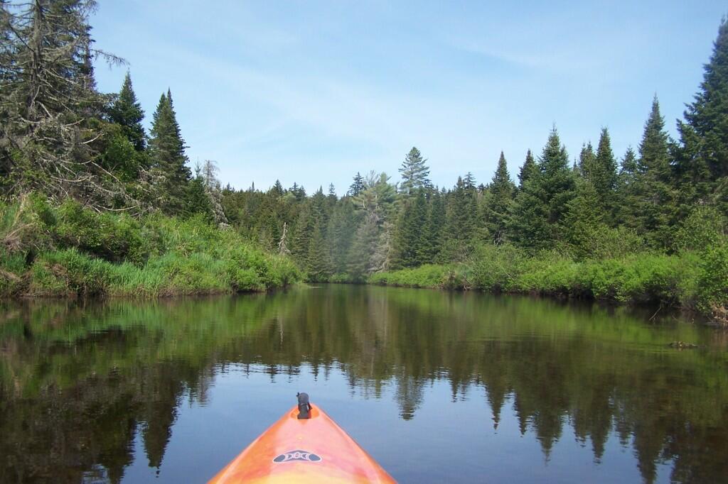 Photo: Back Out on the River Photo: Back Out on the River