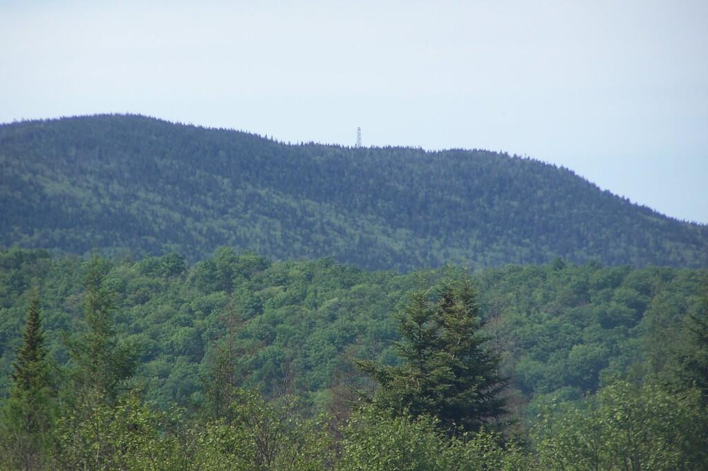 Photo: Wakely Firetower Photo: Wakely Firetower