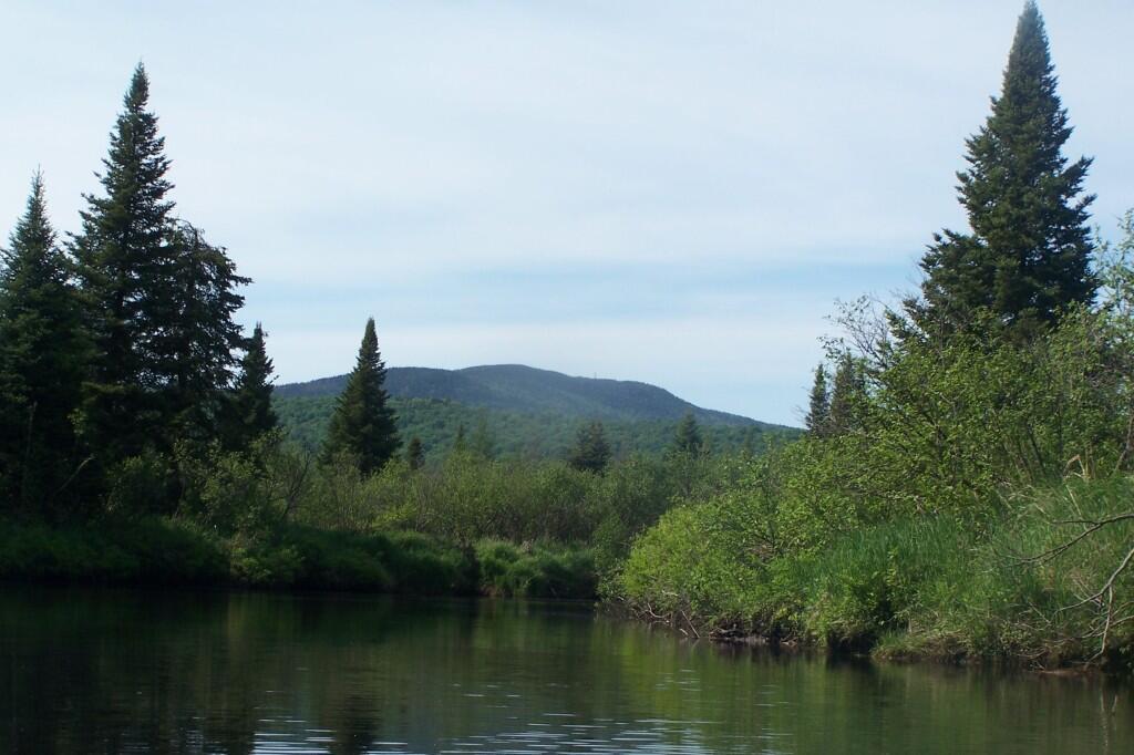 Photo: Cedar River Photo: Cedar River