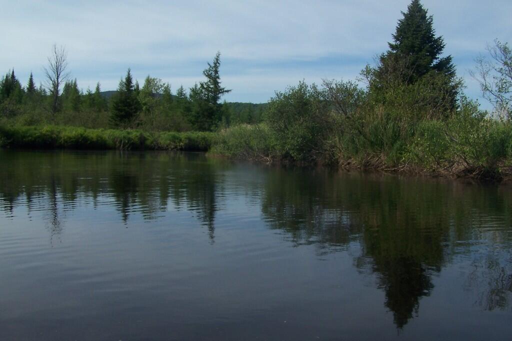 Photo: Reflects Photo: Reflects