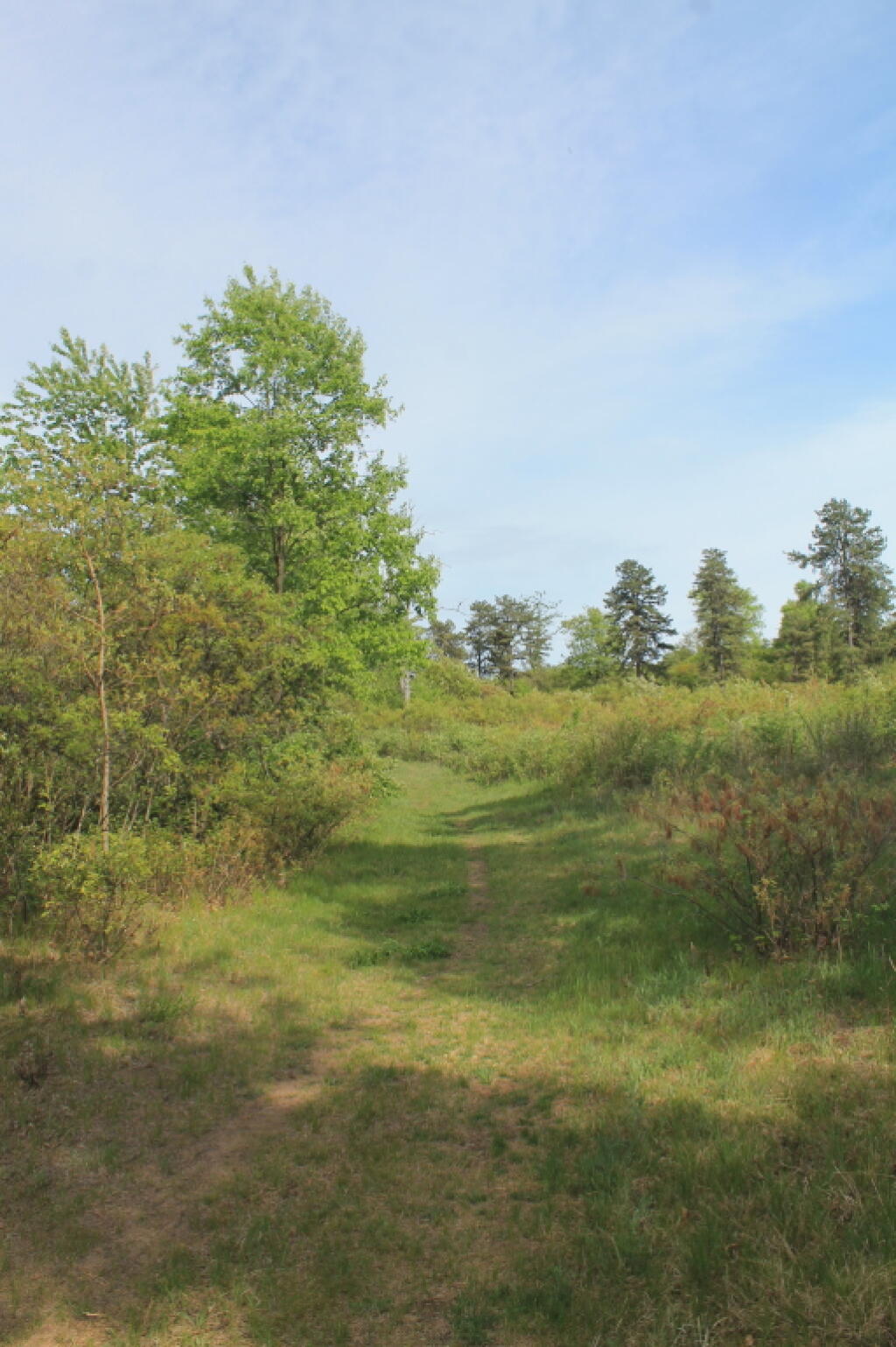 Photo: Heading Up Blueberry Hill