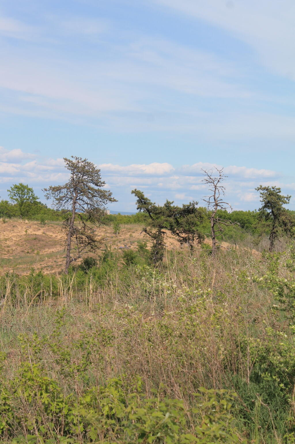 Photo: North-east from Blueberry Hill Photo: North-east from Blueberry Hill