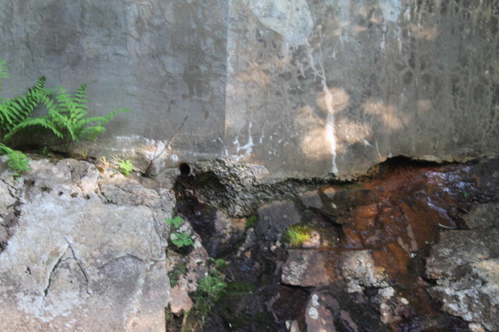 Photo: Cracking Bridge Foundation Photo: Cracking Bridge Foundation